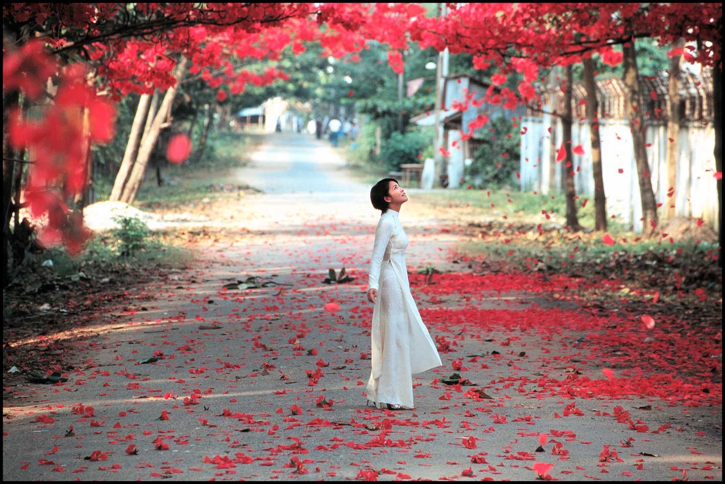 "Three Seasons." Courtesy Tony Bui and Focus Features. "Three Seasons." Courtesy Tony Bui and Focus Features