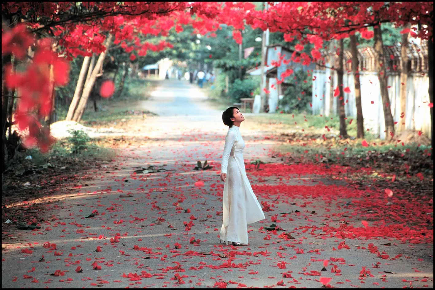 "Three Seasons." Courtesy Tony Bui and Focus Features