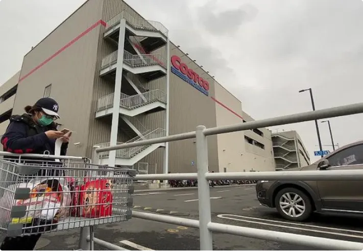 costco shopping car