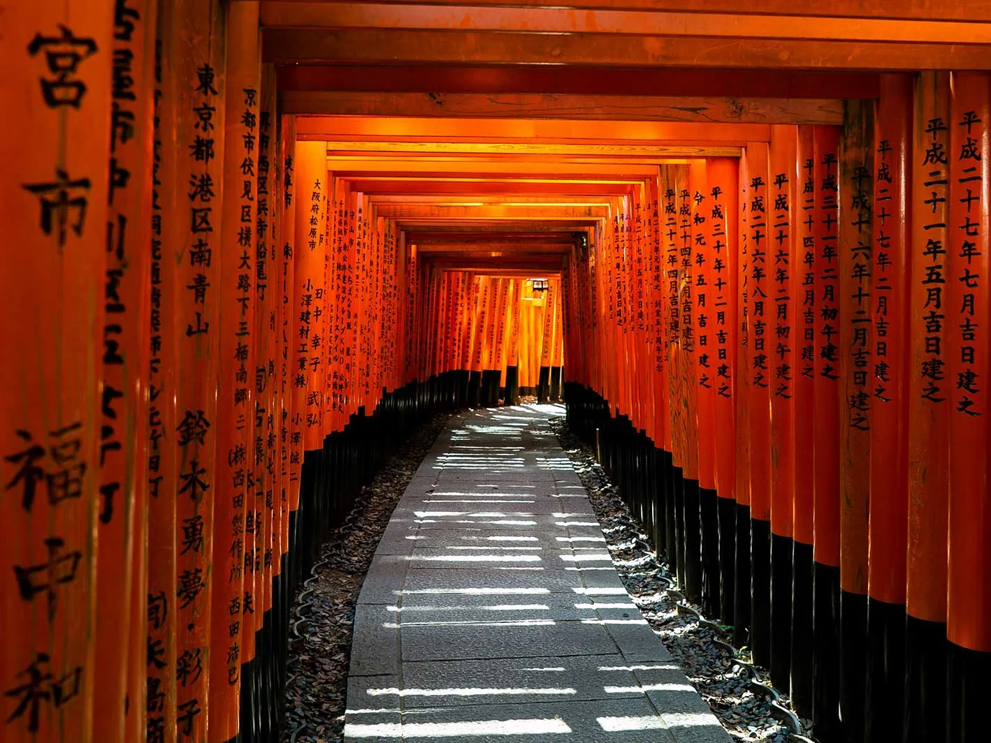 Fusihimi Inari, Kyoto, Japan (David Emrich on Unsplash)
      