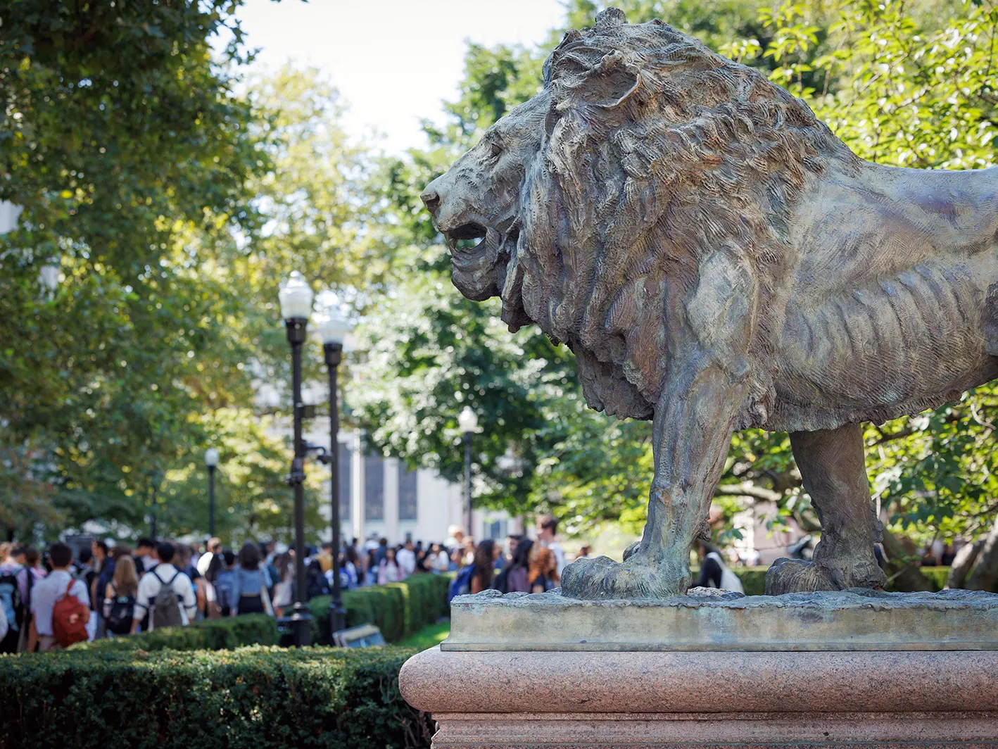 Roaring to get to work