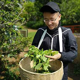 Xuexin Cai Xuexin Cai